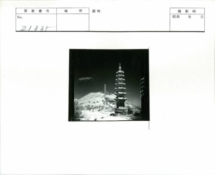 山坡双塔晴空植被风景.jpg
