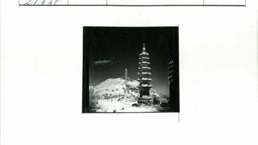 山坡双塔晴空植被风景.jpg