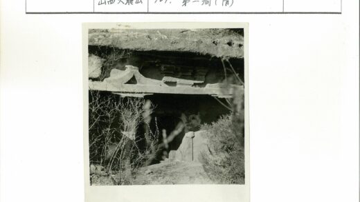 山坡古老岩石雕刻植被遮蔽.jpg