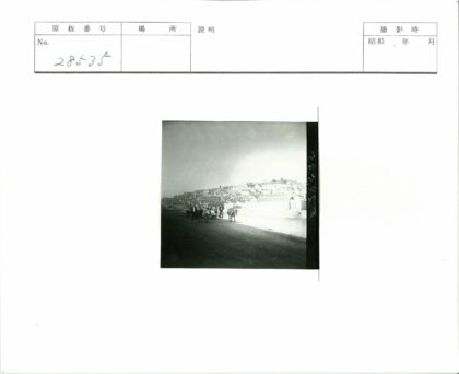 山坡村庄双马马车前行.jpg