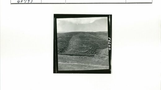 山坡梯田晴空风光.jpg