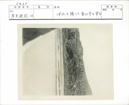 山坡森林砍伐树桩景象.jpg