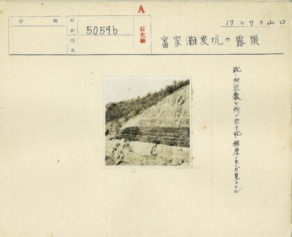 山坡沉积岩层植被景观.jpg