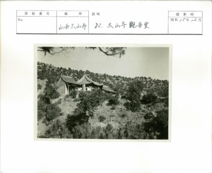山坡瓦屋绿树环绕.jpg