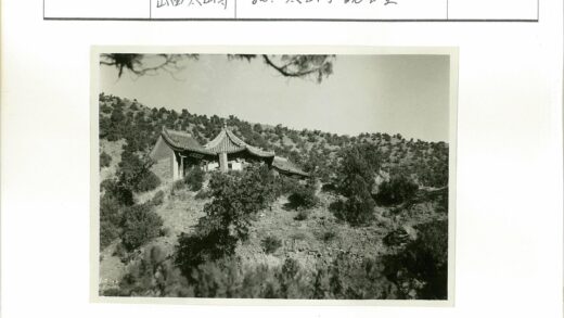 山坡瓦屋绿树环绕.jpg