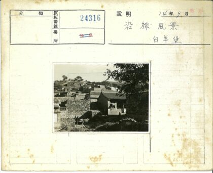 山坡石屋梯田驴影.jpg