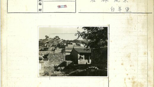 山坡石屋梯田驴影.jpg