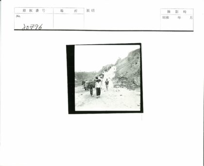 山坡驮货驴队行.jpg