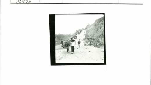 山坡驮货驴队行.jpg
