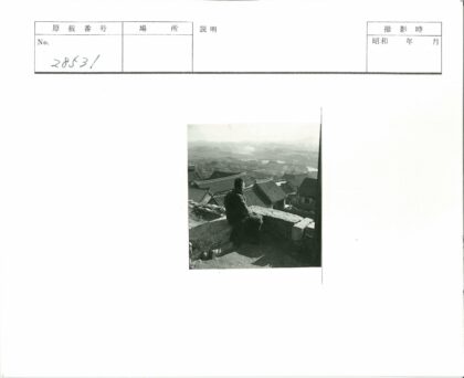 山城古建俯瞰图.jpg