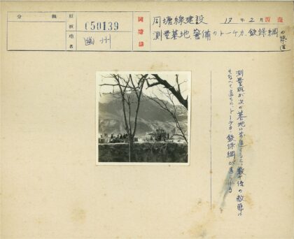 山景大袋与枯树群聚.jpg