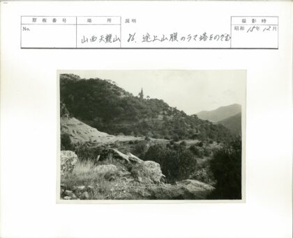 山林古塔远眺.jpg