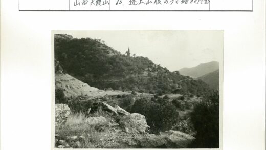山林古塔远眺.jpg