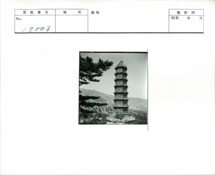 山林宝塔与松树景观.jpg