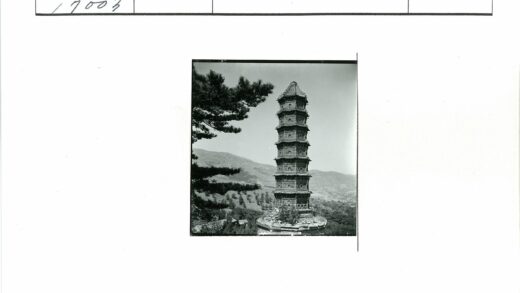山林宝塔与松树景观.jpg