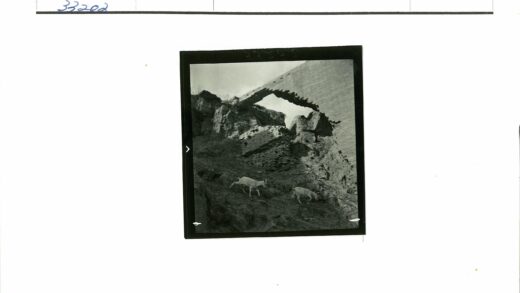 山羊攀爬古石建筑遗址.jpg