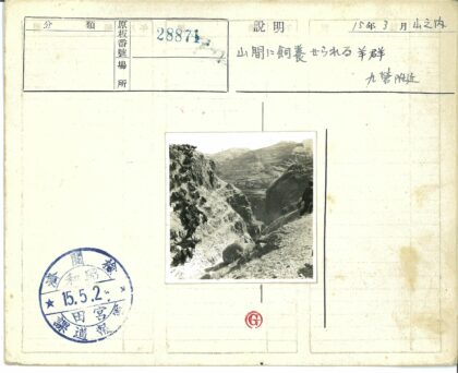 山羊穿行陡峭山脊.jpg