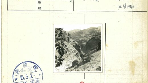 山羊穿行陡峭山脊.jpg
