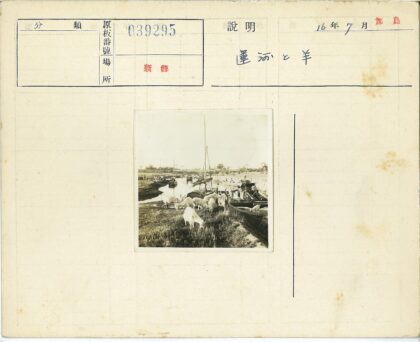 山羊草地吃草河流船只树木景观.jpg