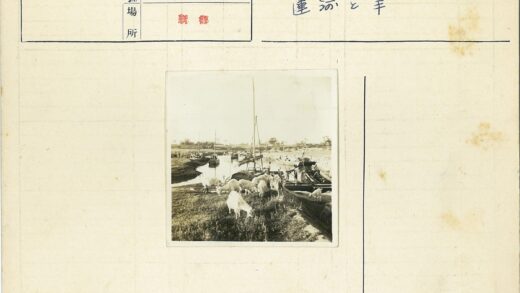 山羊草地吃草河流船只树木景观.jpg
