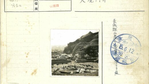 山脚白顶小镇人畜繁忙景象.jpg