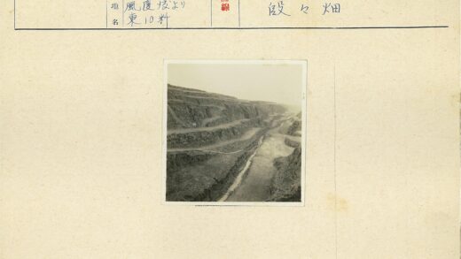 山谷梯田岩石小路景观.jpg