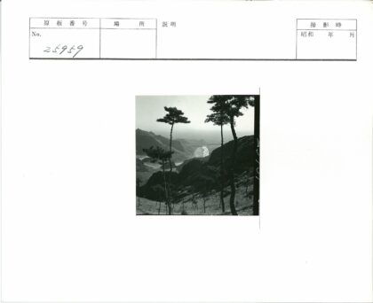 山谷河流与高大树木风景.jpg