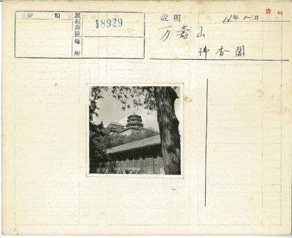 山间传统建筑与古树景观.jpg