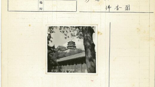 山间传统建筑与古树景观.jpg