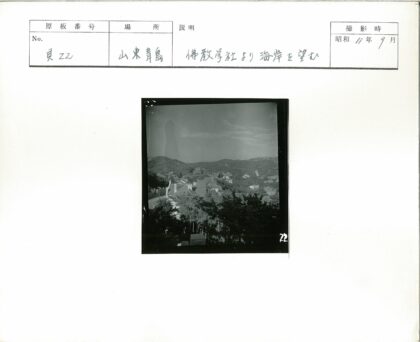 山间住宅区绿树环绕.jpg