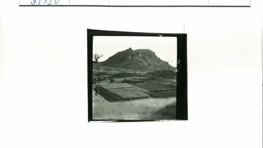 山间农田与推车人景色.jpg