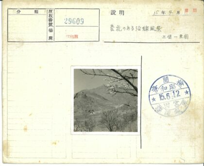 山间火车与花枝.jpg