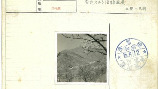 山间火车与花枝.jpg