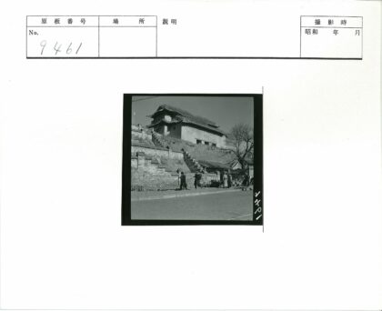 山间石阶人群与枯树风景.jpg