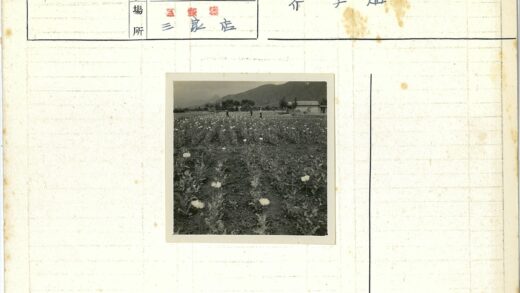 山间花海与劳作人群.jpg