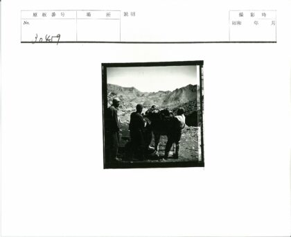 山间驮运队与崎岖地形.jpg