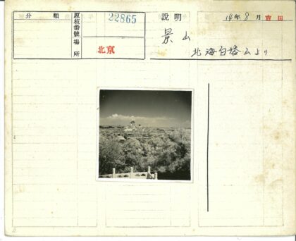 山顶宝塔与云天下密林.jpg