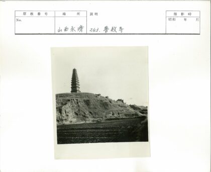 山顶宝塔与梯田风光.jpg