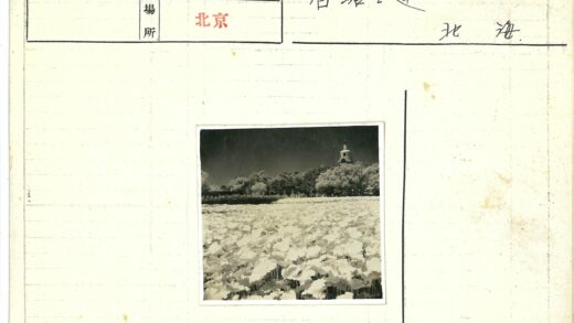 山顶宝塔荷花森林暗空.jpg