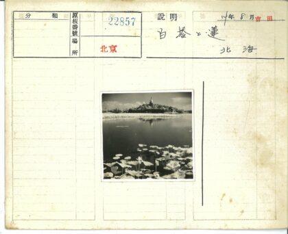 山顶寺庙俯瞰莲花池塘.jpg