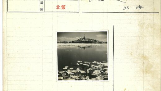 山顶寺庙俯瞰莲花池塘.jpg