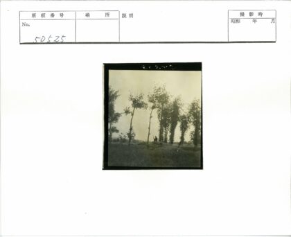 山顶独坐持长杖的林间风景.jpg