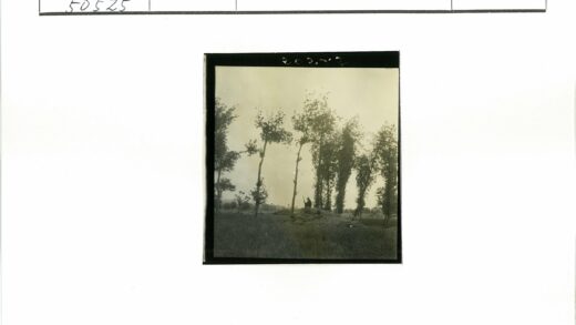 山顶独坐持长杖的林间风景.jpg