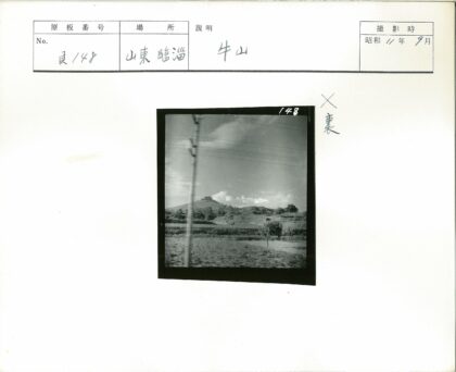 山顶田野与电线杆风景.jpg