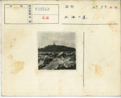 山顶白塔与荷塘风光.jpg