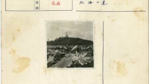 山顶白塔与荷塘风光.jpg