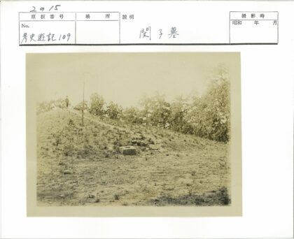 山顶草木间的隐秘石块.jpg