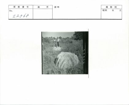 岩石上两人远眺草原风光.jpg