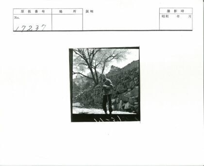 岩石小路大树石墙景观.jpg