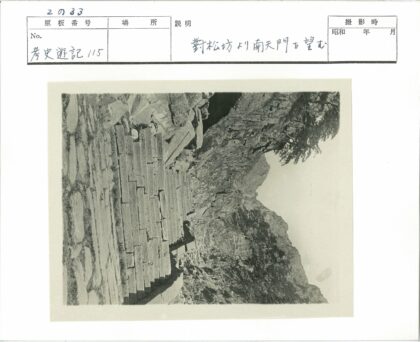 岩石山石阶林间陡崖景观.jpg